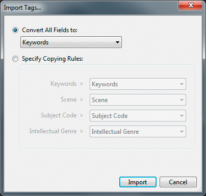 The second Import Tags dialogue, showing the default value